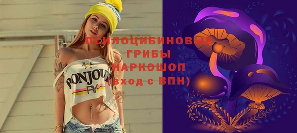 Альфа ПВП Бородино