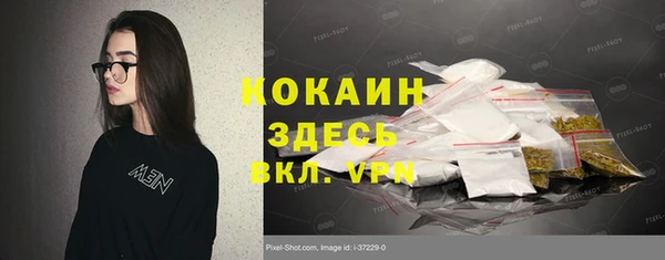 СК Бронницы