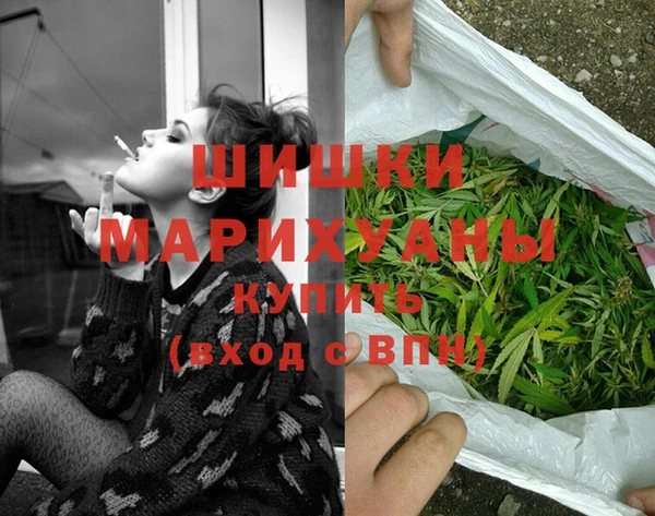 СК Бронницы