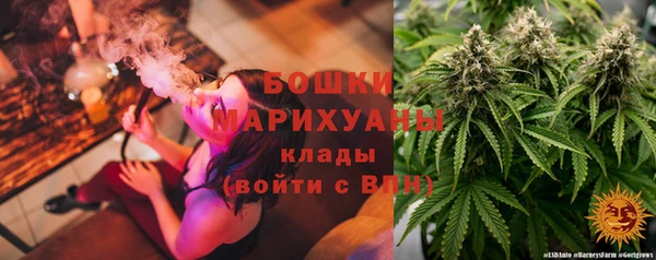 Альфа ПВП Бородино