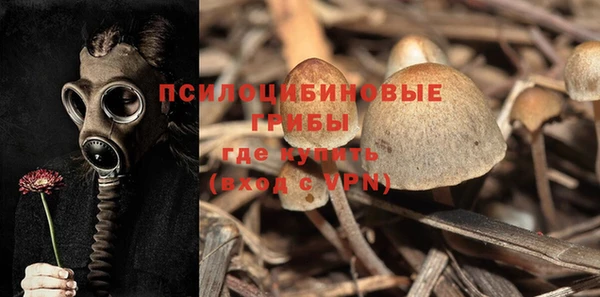 Альфа ПВП Бородино